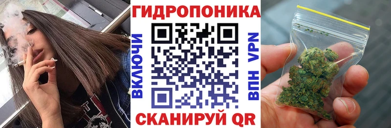 Бошки марихуана ГИДРОПОН  хочу наркоту  Верхняя Салда 